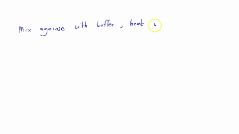 how-to-prepare-agarose