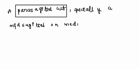 what-type-of-cut-would-separate-the-brain-into-anterior-andposterior-parts-29332