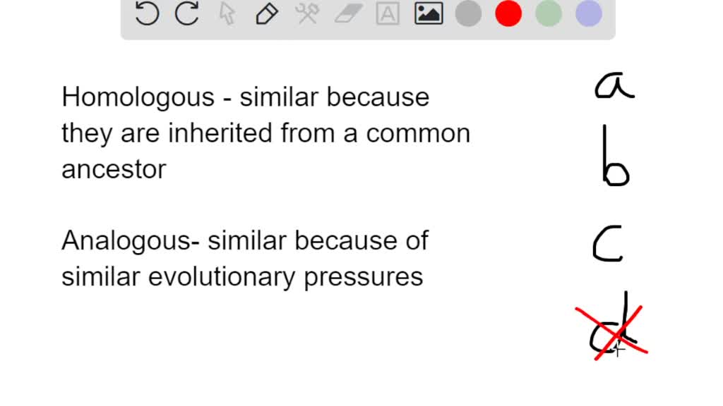 homologous-structures-evidence-of-evolution-evolution-vertebrates