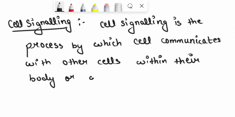 provide-an-overview-of-the-cell-signaling-process-79822