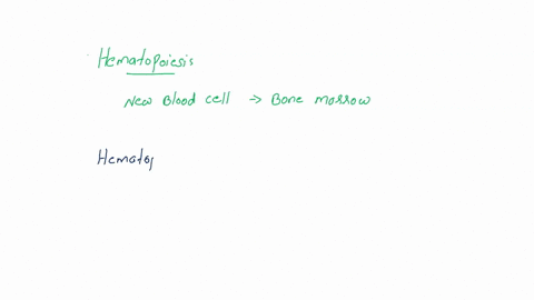 hematopoietic-stem-cells-can-give-rise-to-a-erythrocytes-and-lymphocytes-b-all-blood-cells-macrophages-and-skin-cells-c-all-blood-cells-and-macrophages-d-erythrocytes-09569