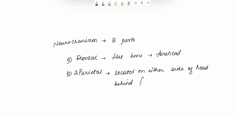question-6-which-of-the-following-sets-of-bones-are-all-part-of-the-cranium-parietals-frontal-temporals-occipital-sphenoid-and-ethmoid-occipital-frontal-temporals-parietals-and-maxillae-pari-48227