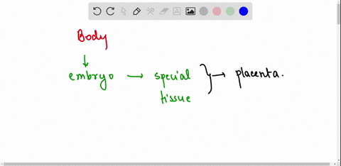 how-does-the-embryo-get-nourishment-inside-the-mothers-body-explain-the-structure-and-function-of-the-tissue-involved-55665