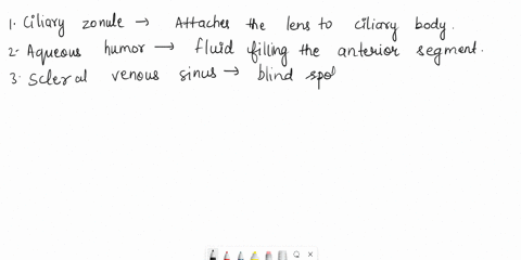 13sclera-scleral-venous-sinus-7match-the-key-responses-with-the-descriptive-statements-that-follow-keyaqueous-humor-cornea-lens-choroid-fovea-centralis-ciliary-zonule-opticdisc-iris-sclera-s-16268