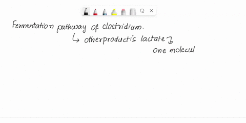 consider-the-fermentation-pathways-of-clostridium-as-diagrammed-on-the-next-page-metabolism-has-been-optimized-to-make-acetic-acid-butyric-acid-and-another-product-in-addition-to-the-product-93276