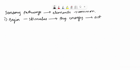 all-sensory-pathways-have-certain-elements-in-common-they-begin-with-stimulus-in-the-form-of-physical-energy-that-acts-on-sensory-receptor-the-receptor-is-transducer-that-converts-the-stimul-40095