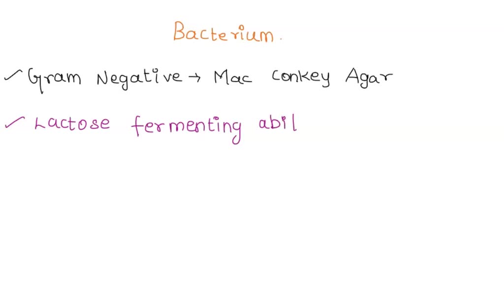 SOLVED: Starting with the MacConkey agar and IMViC tests, describe how ...