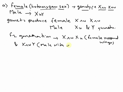 an-insect-species-is-discovered-in-which-the-heterogametic-sex-is-unknown-an-x-linked-recessive-mu-4-38272