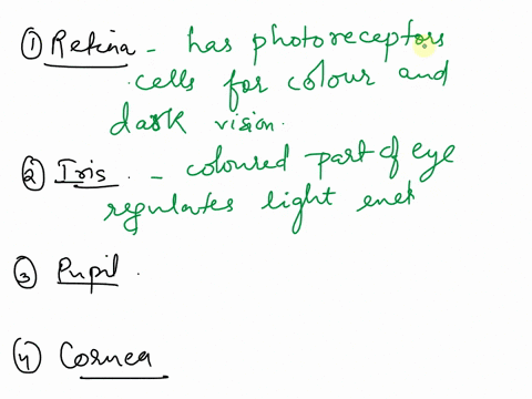 retina-iris-pupil-cornea-lens-etc-how-do-these-eye-parts-function-92473
