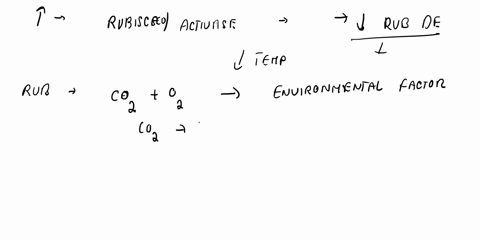 when-exposed-t0-atmosphere-rubisco-reacts-less-irequenlly-wlth-02-lhan-co2-despite-the-greater-02-concentration-in-the-atmosphere-due-to-coz-oreict-greaier-corcentrations-itin-02-5-the-jbnos-49246