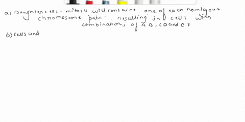 a-diploid-cell-contains-three-pairs-of-homologous-chromosomes-designated-mathrmc-1-and-mathrmc-2-mat-09955