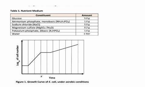 e-coli-was-incubated-with-aeration-in-a-nutrient-medium-containing-two-carbon-sources-see-table-1-figure-1-shows-the-growth-curve-from-this-culture-table-1-nutrient-medium-constituent-amount-94691