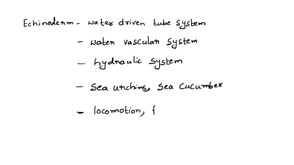 SOLVED The water vascular system of echinoderms functions as a