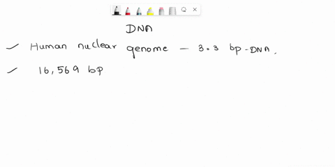 explain-why-mitochondrial-dna-instead-of-nuclear-dna-is-used-to-study-the-evolution-of-modern-humans-07278