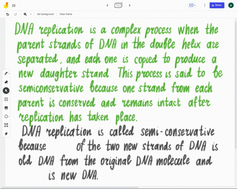 dna-replication-is-called-semi-conservative-because-is-old-dna-from-the-original-dna-molecule-and-of-the-two-new-strands-of-dna-new-dna-31402