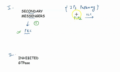29-which-of-the-following-second-messengers-when-released-by-phospholipase-will-directly-activate-the-enzyme-protein-kinase-c-a-inositol-triphosphate-6-phosphatidylinositol-biphosphate-c-dia-11269