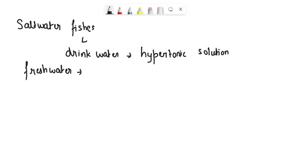 SOLVED Explain why saltwater fishes need to drink water but freshwater fishes do not Be sure