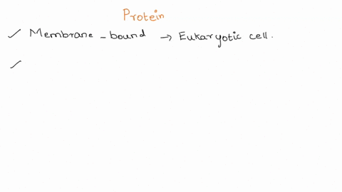 discuss-the-biological-efficiencies-gained-by-organizing-protein-function-on-a-membrane-hint-one-critical-point-is-the-membrane-serving-as-an-interface-between-environments-provide-an-exampl-54293