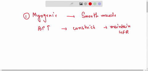 what-are-the-2-mechanisms-of-renal-autoregulation-describe-both-anatomically-what-parts-of-the-nephron-are-involved-and-functionally-how-do-the-contribute-to-maintaining-urine-filtration-46829