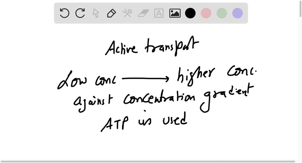 SOLVED: Active transport must function continuously because