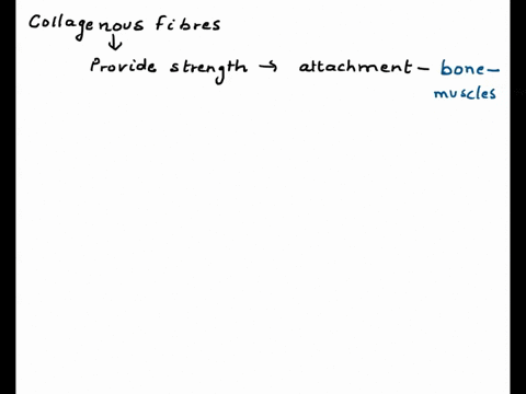 collagenous-fibers-provide-strength-and-flexibility-reticular-fibers-join-connective-tissue-to-adjacent-tissues-elastic-fibers-stretch-and-snap-back-to-their-original-length-07326