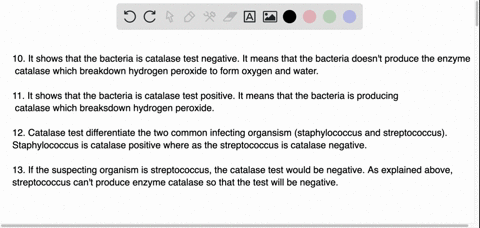 catalase-test-interpret-the-following-results-10-hydrogen-peroxide-is-added-to-a-slide-that-had-bacteria-on-it-and-you-do-not-observe-bubble-formation-11-bacteria-are-added-with-a-wire-loop-24017