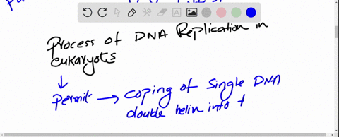 describe-the-three-models-of-dna-replication-describe-the-process-of-dna-replication-in-eukaryotes-include-all-the-proteins-and-enzymes-involved-how-does-synthesis-of-the-lagging-strand-diff-25516