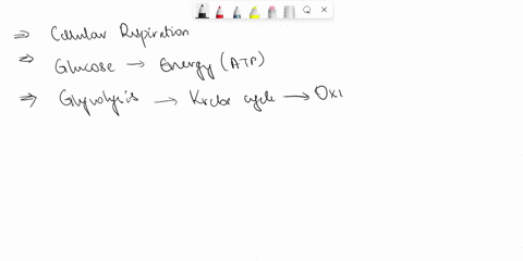 select-the-correct-answer-whats-the-role-of-oxygen-in-cellular-respiration-a-it-accepts-electrons-and-keeps-the-electron-transport-chain-running-b-it-breaks-down-carbon-based-sugar-molecules-16569