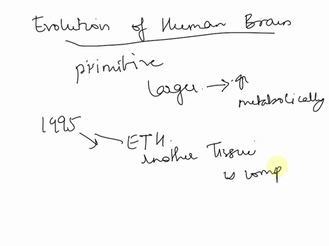 we-have-discussed-the-role-of-meat-consumption-in-hominin-evolution-as-an-important-source-of-fuel-for-our-oversized-and-metabolically-costly-brain-do-you-think-the-expensive-tissue-hypothes-68066