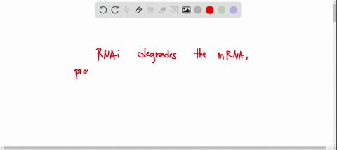 small-interfering-rna-also-known-as-rnai-is-single-stranded-rna-that-binds-to-mrna-with-a-rna-induced-silencing-complex-protein-according-to-the-model-what-is-the-most-likely-effect-of-rnai-77024