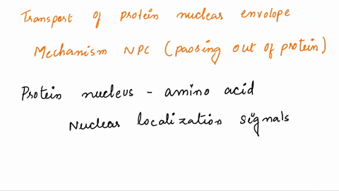 what-are-the-features-of-the-transport-of-proteins-across-the-nuclear-envelope-what-mechanism-ensures-that-cargo-protein-complex-does-not-exit-the-nuclear-pore-complex-npc-once-it-has-passed-58822