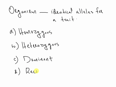 which-term-describes-an-organism-that-has-identical-alleles-for-a-trait-homozygous-heterozygous-dominant-recessive-01591