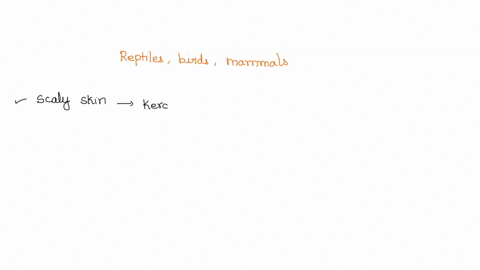 a-key-characteristic-found-in-all-reptiles-birds-and-mammals-that-allowed-them-to-become-fully-terrestrial-is-a-four-walking-limbs-b-a-bony-vertebral-column-c-an-amniotic-egg-d-lungs-97459