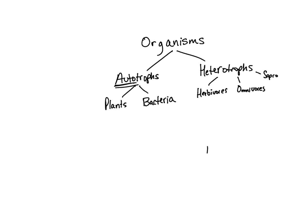 bacteria-vs-fungi-what-s-the-difference-differencess