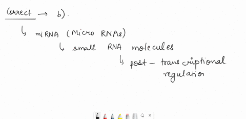 a-microrna-mirna-targets-a-complementary-messenger-rna-mrna-molecule-for-degradation-several-forms-of-mirna-present-within-a-eukaryotic-cell-only-one-of-these-forms-assembles-with-a-set-of-p-43823