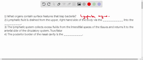 1-what-organs-contain-surface-features-that-trap-bacteria-2-lymphatic-fluid-is-drained-from-the-upper-right-hand-side-of-the-body-via-the-___________-into-the-_________-3-the-lymphatic-syste-81944