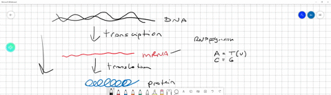 which-of-the-following-is-not-required-for-transcription-1-rna-polymerase-2-deoxynucleotides-3-transcription-factors-4-dna-promoter-5-tata-box-17022
