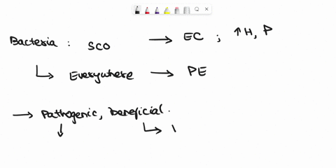 which-of-the-following-is-not-a-function-associated-with-the-cytoskeleton-of-bacteria-plays-a-role-in-cell-division-plays-are-role-in-maintaining-cell-shape-plays-a-role-in-segregating-the-b-11318
