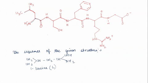 write-the-sequence-of-the-peptide-shown-below-using-the-1-letter-code-do-not-include-spaces-punctuation-etc-just-5-characters-ch-56953