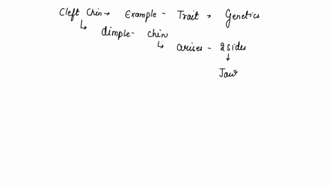 what-is-the-genotype-of-a-heterozygous-person-with-a-cleft-chin-29595