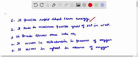 which-of-the-statements-isare-true-about-anaerobic-metabolism-select-all-that-apply-it-provides-rapid-short-term-energy-lt-leads-t0-the-maximum-possible-yield-of-atp-in-cell-it-breaks-glucos-59435