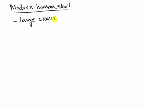 a-scientist-finds-a-human-like-skull-the-best-way-to-identify-it-as-a-modern-human-is-a-the-large-robust-jaw-b-the-presence-of-a-chin-c-the-small-volume-of-the-brain-case-d-he-thickened-brow-23712