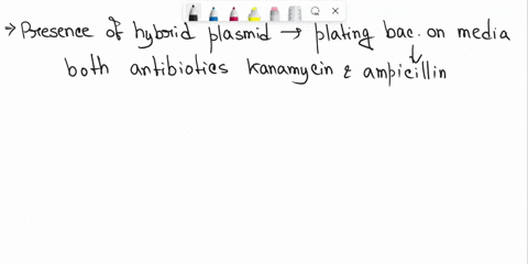 assume-that-rfp-and-its-promoter-pbad-were-cloned-from-the-pkan-r-plasmid-into-into-the-para-plasmid-in-a-sample-of-host-bacteria-how-would-you-verify-which-bacteria-possessed-this-new-hybri-38695