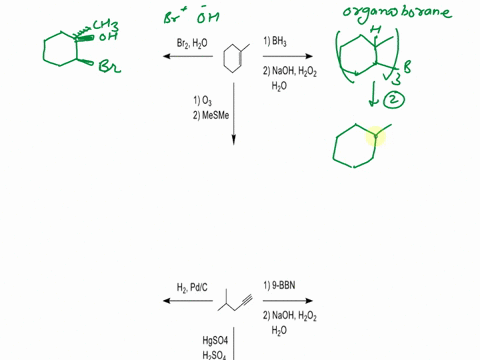 provide-the-major-products-of-each-reaction-below-show-the-stereochemistry-of-each-stereocenter-for-example-by-using-wedge-dash-structures-for-chirality-centers-and-clear-bond-angles-for-alk-44802