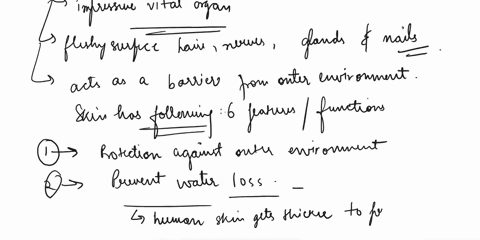 fhapter-5-the-integumentary-system-list-and-brietly-explain-the-general-funeticns-of-kin-describe-the-negative-feedback-loop-that-regulates-body-temperature-what-are-the-names-of-the-sensory-01422