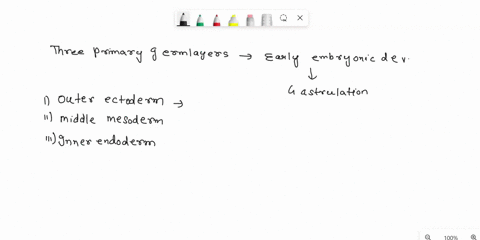 indicate-which-primary-tissue-classes-derive-from-each-embryonic-germ-layer-39058
