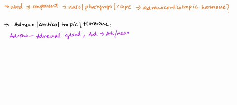 break-down-the-following-words-into-its-component-parts-enter-each-component-part-into-one-cell-with-no-slashes-or-spaces-use-as-many-cells-as-necessary-you-may-not-need-all-cells-provided-i-92234