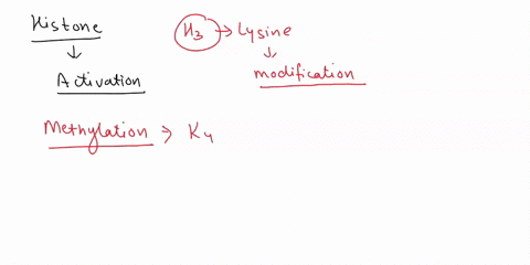 which-type-of-histone-modification-allows-activation-of-gene-expression-72166