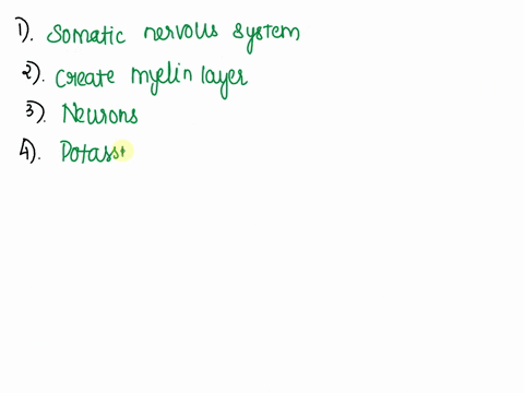 questions-1the-skeletal-muscles-are-controlled-by-the-wutonomicnervous-system-omatic-nervous-system-ocerebellum-2-what-is-the-function-of-the-oligodendrocytes-c-create-myelin-layer-o-clean-u-20363