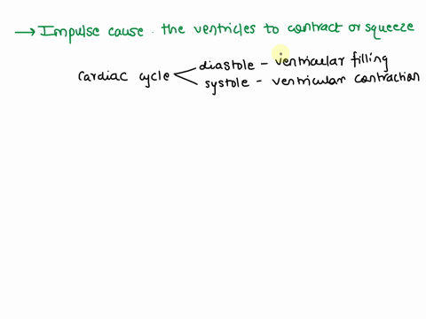 what-events-occur-with-electrical-impulses-from-the-arterial-ventricular-node-are-transmitted-to-the-entire-ventricular-systemthe-bundle-of-his-and-the-purkinje-fibers-transmit-the-electrica-68524